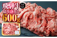 【訳あり】飛騨市産 厳選 飛騨牛 切り落とし 切落し A4・A5ランク 600g 牛肉 和牛