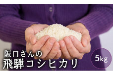 特別栽培米 令和7年産 飛騨産 コシヒカリ 5kg 単品 米 新米 阪口農園  特A こしひかり 阪口農園 米 白米 こめ コメ ごはん 飛騨市 5キロ 14000円［Q1839_25]