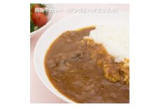 りんごとはちみつ入り飛騨牛カレー　1袋×10　（10食） 飛騨市