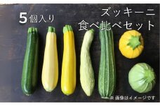 《先行予約》《期間・数量限定》令和7年7月発送　自然栽培 ズッキーニ 食べ比べ セット 旬の野菜 飛騨 自然の味 珍しい形 色 自家採種 みずみずしい ソヤ畦畑 農薬不使用 肥料不使用 syun29