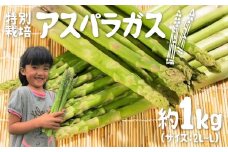 《先行予約》《期間・数量限定》やわらか ジューシー 飛騨産 アスパラガス 1kg 特別栽培 新鮮  syun92