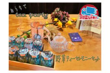おうちで飛騨の野草ティーセレモニーセット 野草茶 スギナ ドクダミ 野ブドウの蔓 クロモジ イノコズチ 桑の葉 葛の花 メナモミ お茶