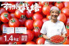 コクと旨味が違う!!有機ミニトマト 1.4kg 人気 ミニトマト トマト 国産 常温 おかず 惣菜 ありがとうファーム ひだかみ流葉  ミニトマト 詰め合わせ 1.4kg  syun7 飛騨市 1万円 10000円
