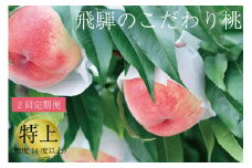 【2回 定期便 食べ比べ】飛騨のこだわり桃 桃 糖度14度以上 6－8玉 ※7月末～