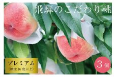 飛騨のこだわり桃 プレミアム 糖度16度以上 ３玉 朝採れ 白桃 ※7月末～順次お届け