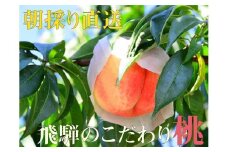 朝採れ 飛騨のこだわり桃　約5.0kg （20-22玉） 小さめサイズ 訳アリ 訳あり 5キロ 5kg