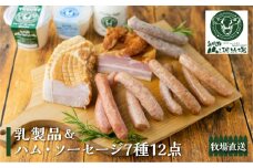 牧場直送 ソーセージと乳製品のスタンダードな詰め合わせ「天空Ａセット」 山之村牧場 