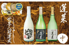 蓬莱飲み比べ3本セット(中) 渡辺酒造店 純米吟醸 吟醸 飛騨の酒 日本酒 飛騨のどぶ