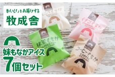 【訳あり】＜牧成舎＞飛騨の手焼き最中アイス ミニサイズ 60ml×7個 妹最中 モナカ 味おまかせセット アイスクリーム 訳あり おいしい訳あり 飛騨市 日時指定可