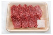 飛騨市産 5等級飛騨牛 ミニステーキ用 300g ギフト 贈答用