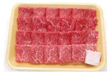 飛騨市産 5等級飛騨牛 焼肉用 500g ギフト 贈答用