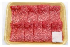飛騨市産 5等級飛騨牛 すき焼き用 500g ギフト 贈答用