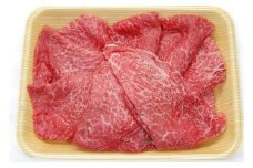 飛騨市産 5等級飛騨牛 しゃぶしゃぶ用 500g ギフト 贈答用