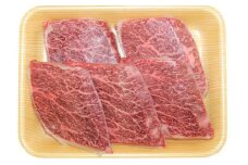 飛騨市産 5等級飛騨牛 希少部位ステーキ用 500g ギフト 贈答用
