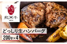 《簡易包装》うまい赤身にこだわった牛飼いの和牛肉ハンバーグ 200g×4個  飛米牛 生ハンバーグ 和牛100%