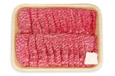 飛騨市産 5等級飛騨牛 すき焼き用 800g ギフト 贈答用