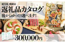 後からゆっくり返礼品を選べる♪飛騨市のふるさと納税カタログ　 飛騨牛 日本酒 ラーメン 乳製品 米 野菜 定期便 など約200種類以上 | 牛肉 肉 米 野菜 トマト とうもろこし 酒 麺類 チーズ 牛乳 惣菜 あとから ふるさと納税 