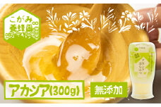 飛騨産 生蜂蜜 アカシア蜜 300g 国産無添加 はちみつ ギフト ハニー 非加熱