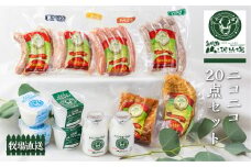 ニコニコ20点セット 乳製品 肉製品 詰め合わせ ヨーグルト ソーセージ ベーコン ミルクプリン ジャージー牛 山之村牧場