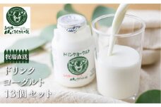ドリンクヨーグルト 13本セット ジャージー牛 山之村牧場 