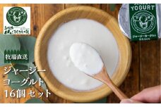 ジャージーヨーグルト 16個セット ジャージー牛 山之村牧場 