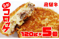 ひだコロッケ 揚げ調理済み 冷凍 飛騨牛コロッケ 120g×5個 手作り 飛騨古川