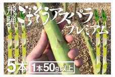 《先行予約》《期間・数量限定》2025年産プレミアムアスパラ 1本50g以上の極太アスパラガス 5本 syun76