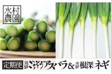 アスパラ＆ネギ4回定期便 水村農園 飛騨産 旬の野菜
