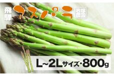 《先行予約》飛騨産おいし～いアスパラガス（2025年5月上旬〜8月末発送） L 〜 2L サイズ 800g 岩塚農園 アスパラ 太い 旬 春 夏 野菜 BBQ 飛騨 あすぱら やさい 10000円 あすぱらがす syun69
