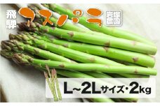 《先行予約》飛騨産 アスパラガス（2025年5月上旬〜8月末発送） L 〜 2L サイズ 2kg 岩塚農園 アスパラ 太い 旬 春 夏 野菜 BBQ 飛騨 やさい 24000円 syun70