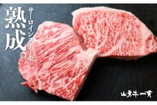 飛騨牛 サーロインステーキ 150g×2枚 300g 飛騨の牧場で育った熟成『山勇牛』牛肉 和牛 サーロイン ブランド牛 和牛 A4 A5 ランクのみ 冷凍 飛騨市