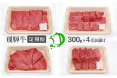 《定期便》飛騨市産 飛騨牛 4回お届け 4ヶ月 焼肉 すき焼き しゃぶしゃぶ ミニステーキ 300g 5等級