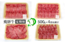 《定期便》飛騨市産 飛騨牛 4回お届け 4ヶ月 焼肉 すき焼き しゃぶしゃぶ ミニステーキ 500g 5等級