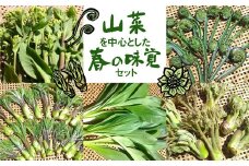 《先行予約》山菜を中心とした春の味覚セット syun11　野菜 山菜 春野菜 ありがとうファーム 有機野菜 春の味覚 2026年先行予約 