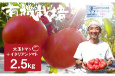 【先行予約】《期間・数量限定》ひだかみ流葉　コクと旨味の有機大玉トマト イタリアントマト サンマルツァーノ 調理用トマト 有機JAS認定 合計2.5kg syun9