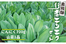 《先行予約》選べる内容量 奥飛騨産とれたて新鮮 生行者ニンニク 700g , 山菜1品 行者ニンニク 行者にんにく 醤油漬け 【4月下旬～5月上旬発送】12000円 [Q655xch] 