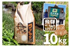 令和4年産 飛騨産コシヒカリ 10㎏　政木農園　精白米 白米 コシヒカリ syun87