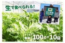 令和7年産先行予約【6月上旬～10月下旬発送】サラダ春菊 100g × 10袋 政木農園 無農薬栽培 野菜 syun88