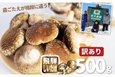 《先行予約》【11月下旬～4月下旬】訳あり しいたけ 計500g　政木農園 しいたけ シイタケ 椎茸 飛騨 不揃い サイズバラバラ 簡易包装 鍋 天ぷら バーベキュー