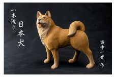 一木造り　彫刻 日本犬[Q701]