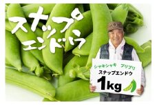 【2025年先行予約】飛騨 スナップエンドウ 1kg スナップえんどう国産 産地直送 野菜 syun169