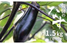 《先行予約》【6月下旬～10月中旬発送】飛騨のなす 約1.5kg 茄子 ナス なす 産地直送 夏野菜 野菜 syun