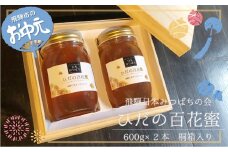 【お中元贈答用】飛騨日本みつばちの会　ひだの百花蜜　600ｇ×2本　桐箱入り はちみつ 蜂蜜 ハチミツ