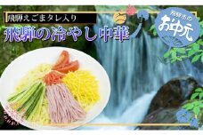 【お中元贈答用】飛騨の冷やし中華 えごまのタレで食べる絶品冷麺 冷やし中華 常温保存可能 4食分 タレつき 