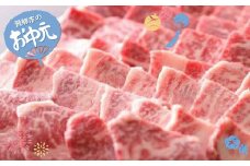 【お中元贈答用】飛騨牛 バーベキュー BBQ がっつりカルビ500g  牛肉 和牛 飛騨市推奨特産品 