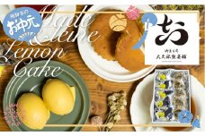 【お中元贈答用】マドレーヌ＆レモンケーキ セット 計10個  飛騨古川 大久保製菓舗 ギフト 手土産