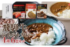飛騨牛カレーセット 4種6食セット 飛騨牛 カレー レトルト レトルトカレー 詰め合わせ