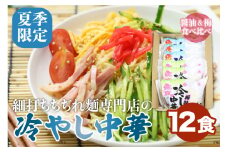 【夏季限定 4～9月発送】冷やし中華 ノーマル＆梅味 計12食（2食入3袋）× 2 常温保存 老田屋 seas1