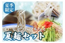 【夏季限定 4～9月発送】夏麺セット 12食 冷やし中華 生うどん 生そば 老田屋 夏 爽やか 常温保存 老田屋 seas2