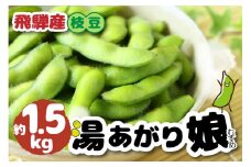 《2025年発送 先行予約》枝豆 湯あがり娘 1.5kg 飛騨 福山農園 産地直送 syun129